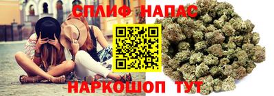 ПСИЛОЦИБИНОВЫЕ ГРИБЫ Нальчик